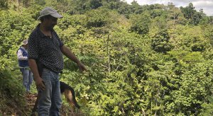 Lee más sobre el artículo En Tolima la Unidad de Restitución de Tierras responde<br>al 93% de las solicitudes hechas en municipios PDET