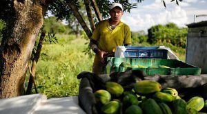 Lee más sobre el artículo Un día en un municipio Pdet, 5 años después de la firma del acuerdo de paz