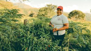 Lee más sobre el artículo 6.597 empleos generados en la subregión con la implementación de los PDET