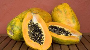 Lee más sobre el artículo El ambicioso proyecto que beneficia a más de cien familias productoras de papaya Córdoba