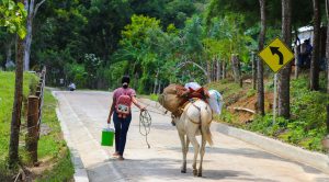 Lee más sobre el artículo Más de $472 mil millones para garantizar los Pdet en el sur de Córdoba