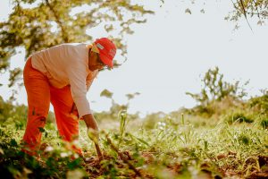 Lee más sobre el artículo ASÍ AVANZA EL PDET DE MONTES DE MARÍA