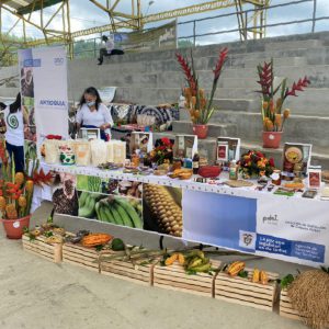 Lee más sobre el artículo Nuestra visita a Amalfi