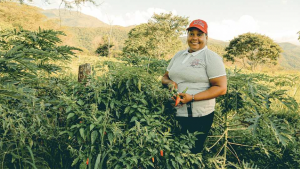 Lee más sobre el artículo PDET generaron 52.000 empleos en 2 años