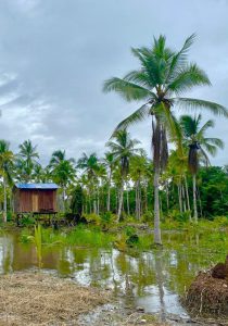 Lee más sobre el artículo Así vamos en el PDET de Pacífico Medio￼