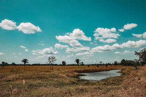 Lee más sobre el artículo ASI AVANZA EL PDET DE ARAUCA
