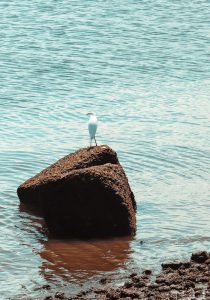Lee más sobre el artículo Así vamos en el PDET Pacífico y frontera nariñense