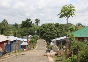 Lee más sobre el artículo PDET invertirá más de $7.000 millones en proyectos productivos