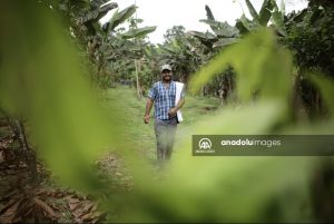 Lee más sobre el artículo El cacao lleva esperanza a personas que sufrieron el conflicto en Caquetá