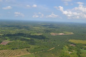 Lee más sobre el artículo Así vamos en el PDET Catatumbo