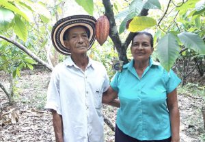 Lee más sobre el artículo El cacao cambió la vida de don José y la de su esposa sin pensarlo ni soñarlo