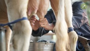 Lee más sobre el artículo Programa rutas PDET acelerará a más de 26 organizaciones de productores de cacao