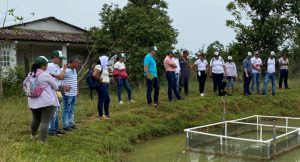 Lee más sobre el artículo Biocomercio: alternativa económica para campesinos, jóvenes y víctimas en Putumayo